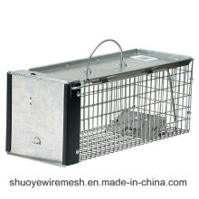 Collapsible Animal Trap and Cage